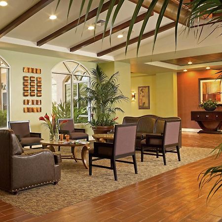 Palm Beach Shores Resort And Vacation Villas Interiør bilde